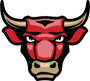 Bayside Bull Image