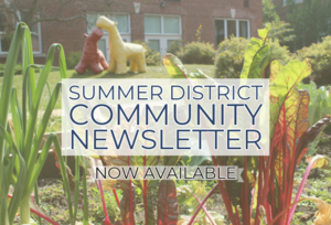 Summer Community Newsletter now available