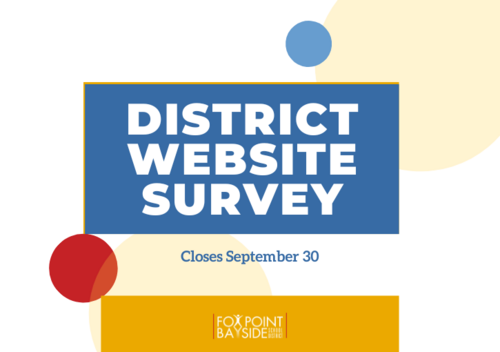 website survey
